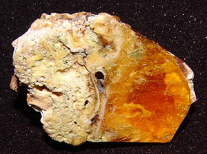 Amber with embedded fabric